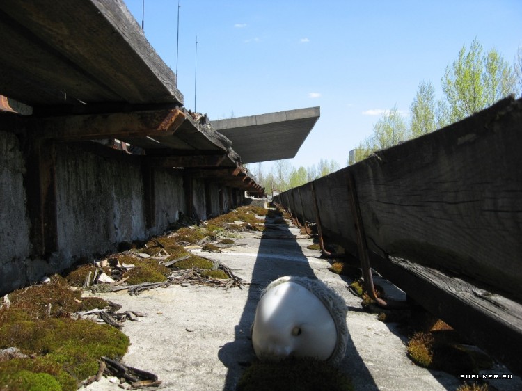 Чернобыльская зона отчуждения