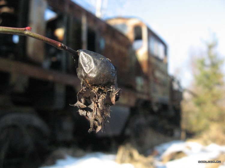 Чернобыльская зона отчуждения