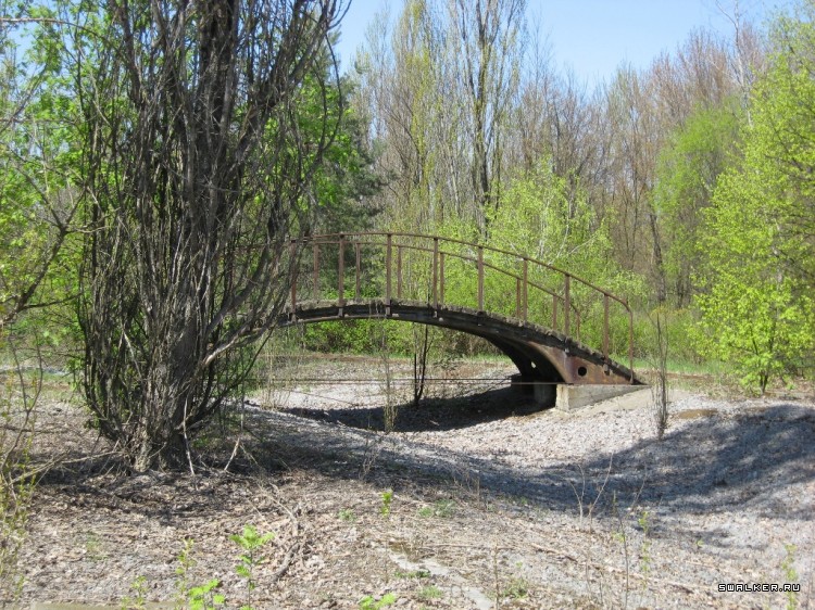 Чернобыльская зона отчуждения