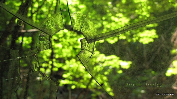 Чернобыльская зона отчуждения