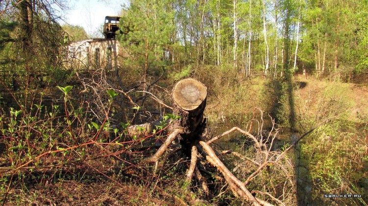 Чернобыльская зона отчуждения