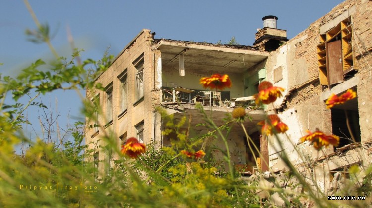 Чернобыльская зона отчуждения