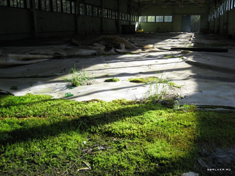 Чернобыльская зона отчуждения