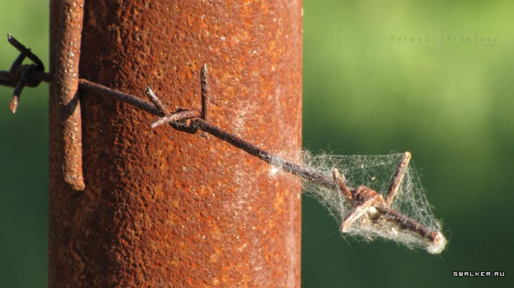 Чернобыльская зона отчуждения