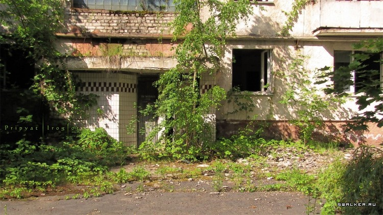 Чернобыльская зона отчуждения