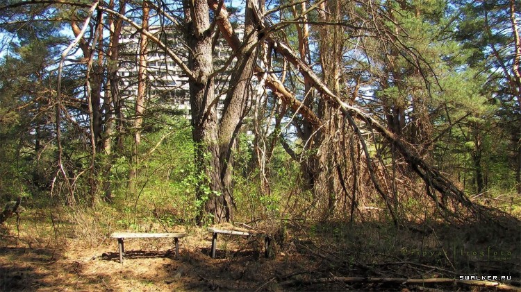 Чернобыльская зона отчуждения