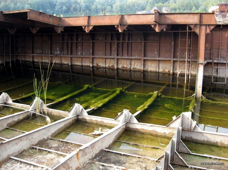 Чернобыльская зона отчуждения