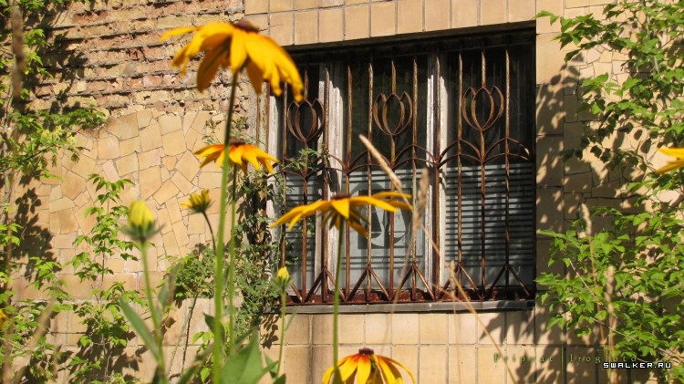 Чернобыльская зона отчуждения