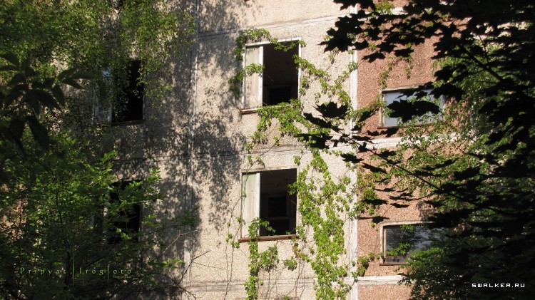 Чернобыльская зона отчуждения