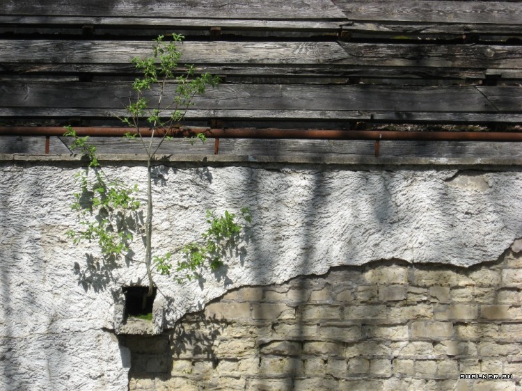 Чернобыльская зона отчуждения