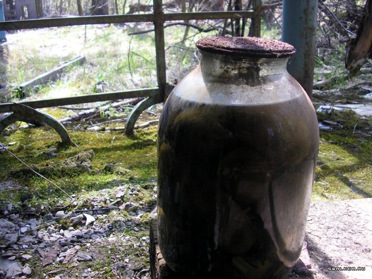 Чернобыльская зона отчуждения