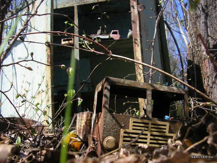 Чернобыльская зона отчуждения