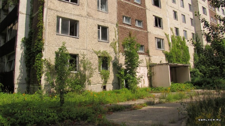 Чернобыльская зона отчуждения