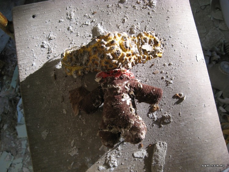 Чернобыльская зона отчуждения