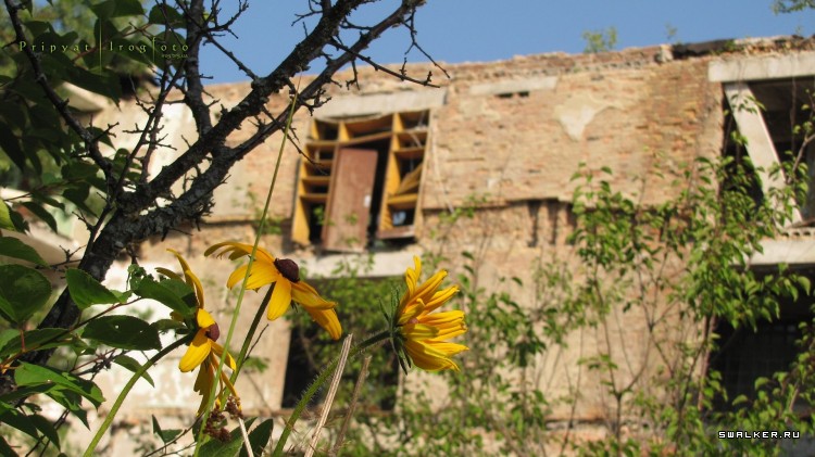 Чернобыльская зона отчуждения