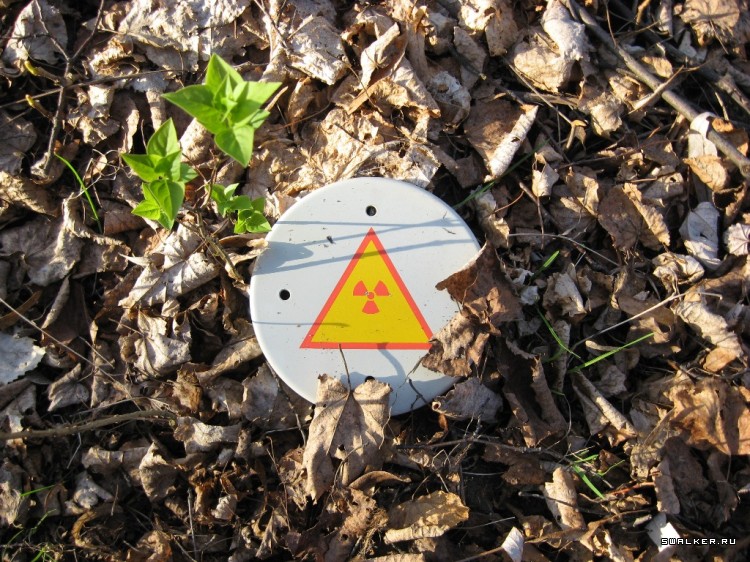 Чернобыльская зона отчуждения