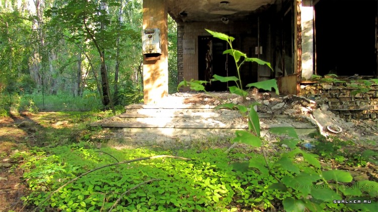 Чернобыльская зона отчуждения