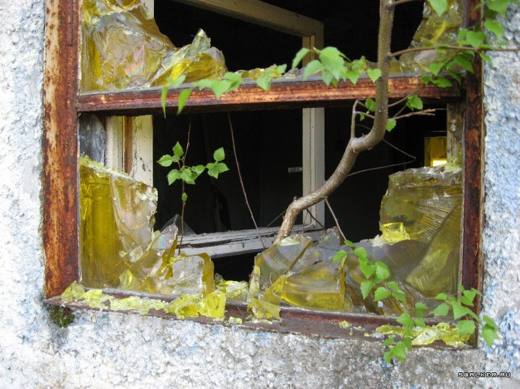 Чернобыльская зона отчуждения