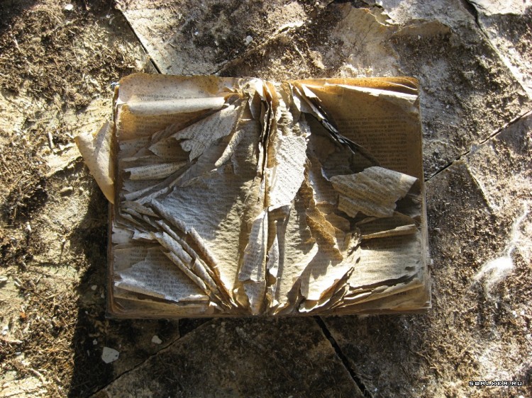 Чернобыльская зона отчуждения