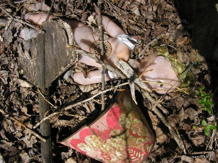 Чернобыльская зона отчуждения