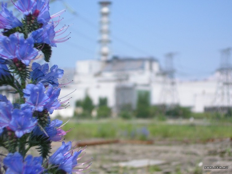 Чернобыльская зона отчуждения