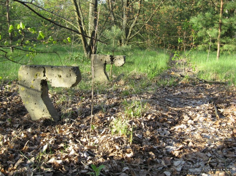 Чернобыльская зона отчуждения