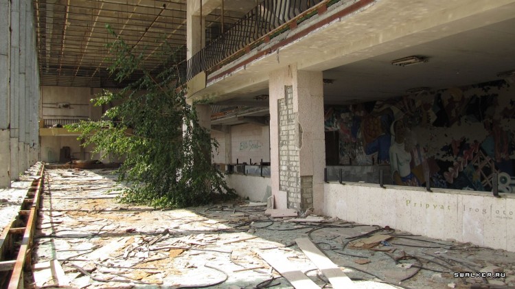 Чернобыльская зона отчуждения