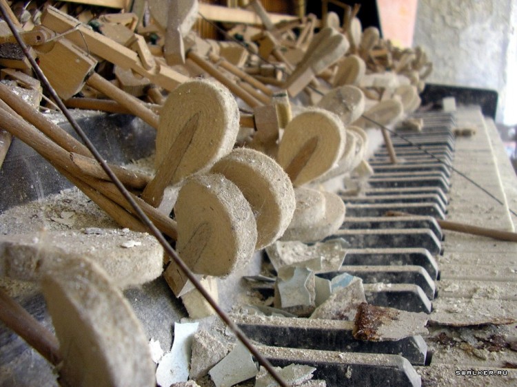 Чернобыльская зона отчуждения