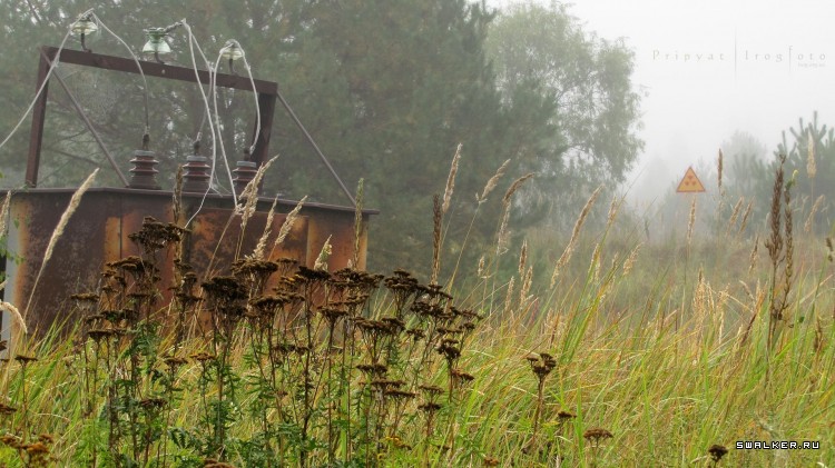 Чернобыльская зона отчуждения