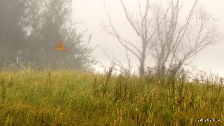 Чернобыльская зона отчуждения