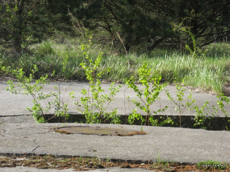 Чернобыльская зона отчуждения