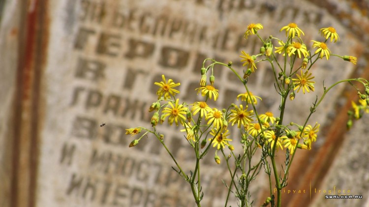 Чернобыльская зона отчуждения