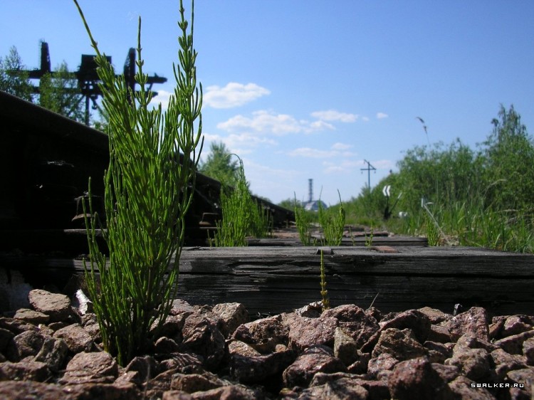 Чернобыльская зона отчуждения