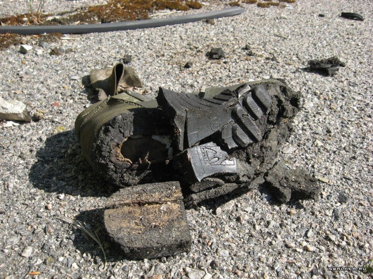 Чернобыльская зона отчуждения