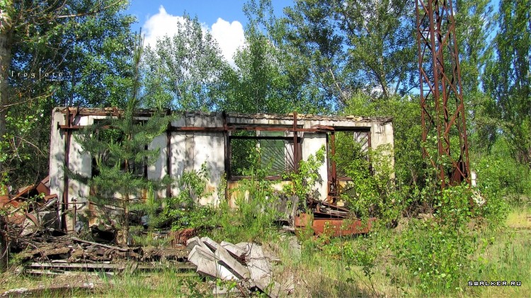 Чернобыльская зона отчуждения