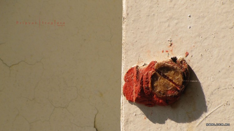 Чернобыльская зона отчуждения