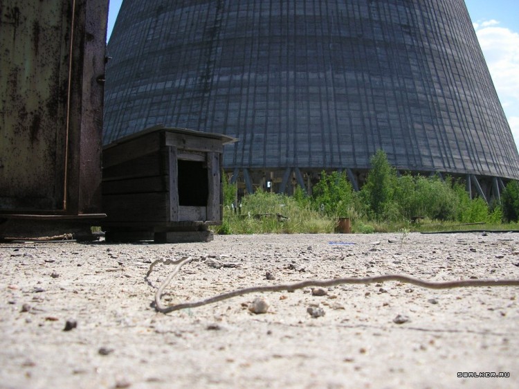 Чернобыльская зона отчуждения