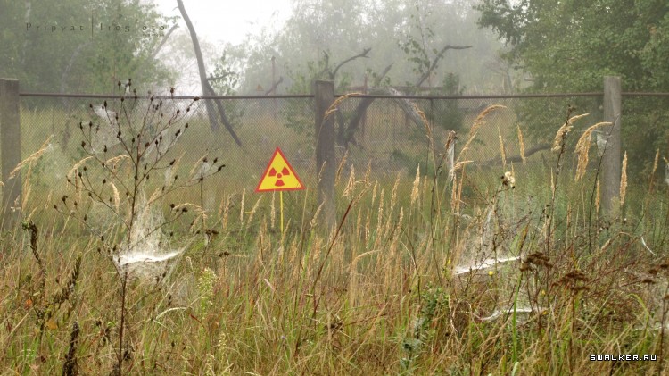 Чернобыльская зона отчуждения