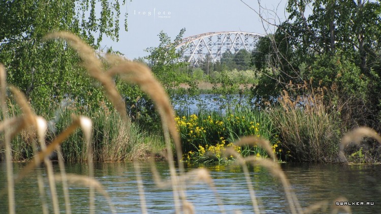 Чернобыльская зона отчуждения