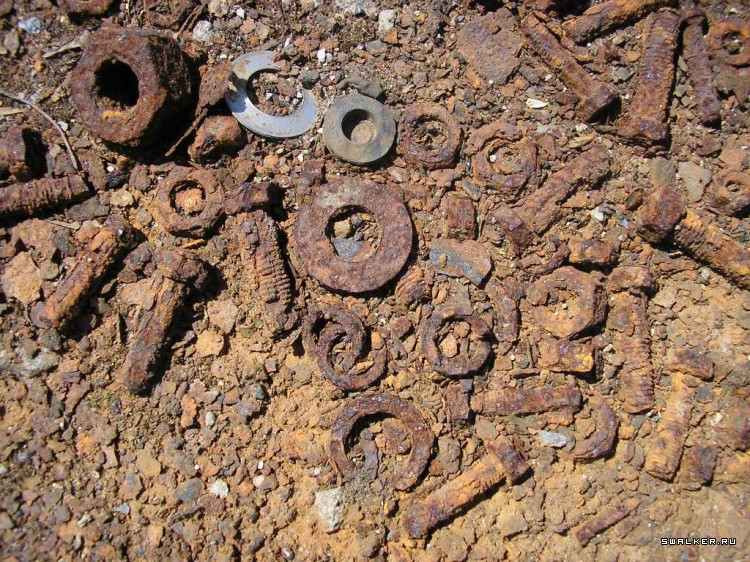 Чернобыльская зона отчуждения