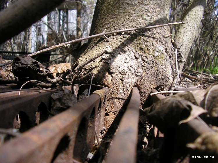 Чернобыльская зона отчуждения