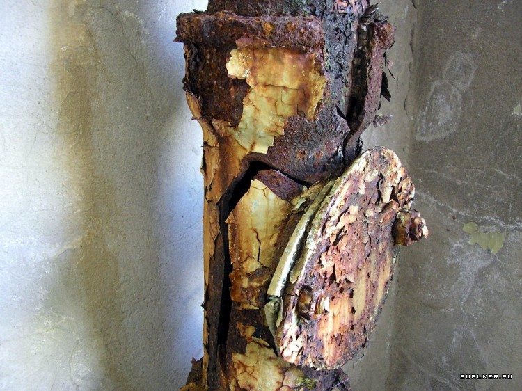 Чернобыльская зона отчуждения