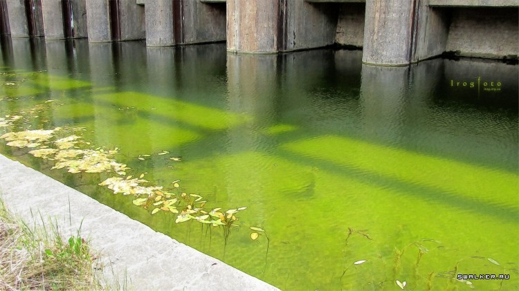 Чернобыльская зона отчуждения