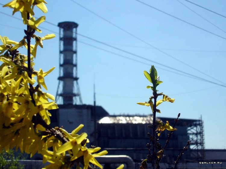 Чернобыльская зона отчуждения