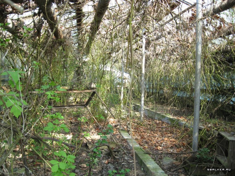 Чернобыльская зона отчуждения