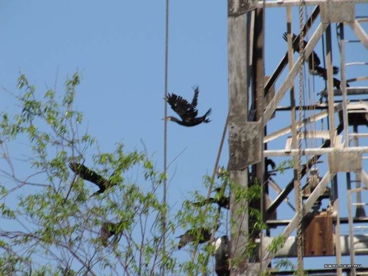 Чернобыльская зона отчуждения