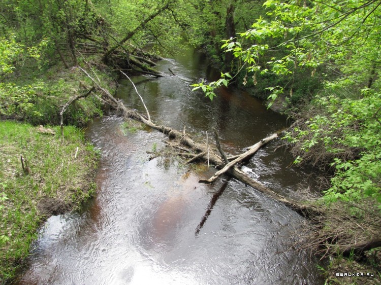 Чернобыльская зона отчуждения