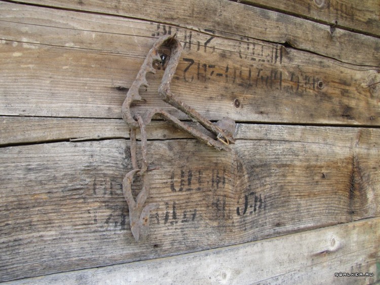 Чернобыльская зона отчуждения