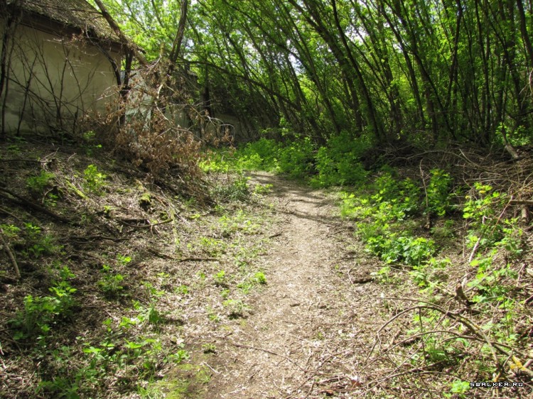Чернобыльская зона отчуждения