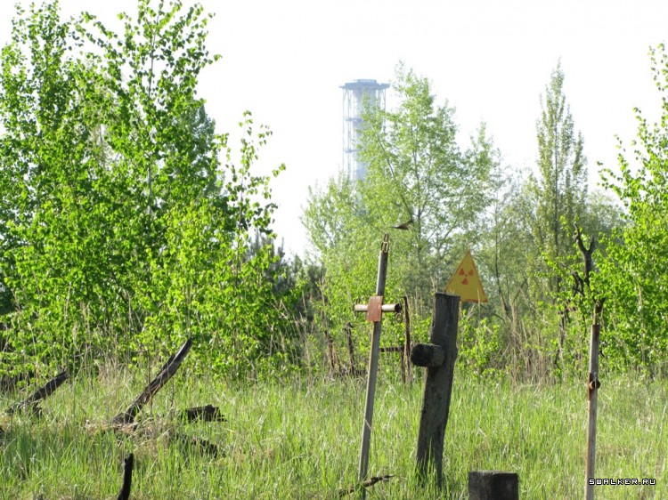 Чернобыльская зона отчуждения